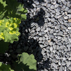 Nordic grey grind