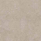 Ultra Shellstone Taupe keramische terrastegel